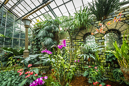 espace pour la vie - jardin botanique - serres